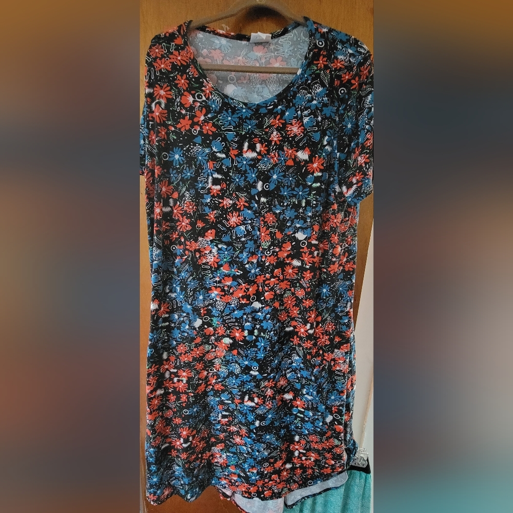 LuLaRoe Carly Swing Dress